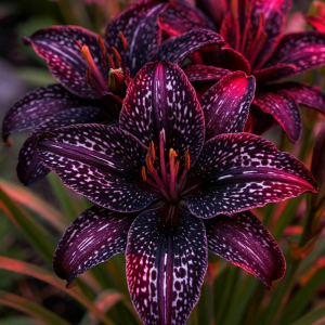 Лилейник Вояж купить по цене от 699р. в интернет-магазине «Посадика» с доставкой почтой в в Подольске и по всей России – [изображение №1].